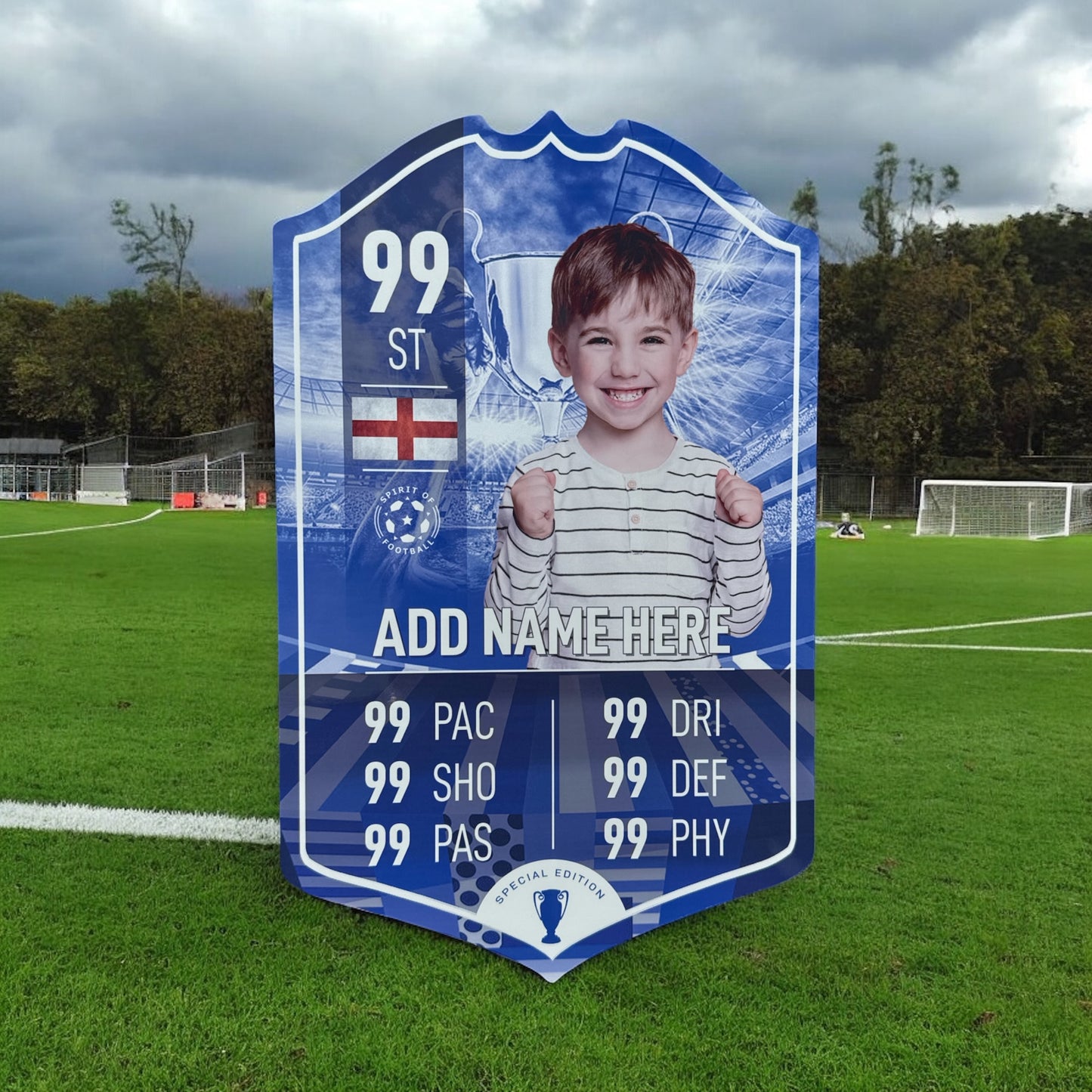 Special Edition Football Card Player Stats